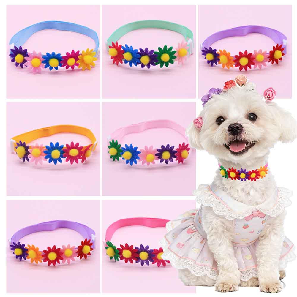 Pet Supplies In Bulk - 50 SZTUK Kolorowych Muszek dla Psów,