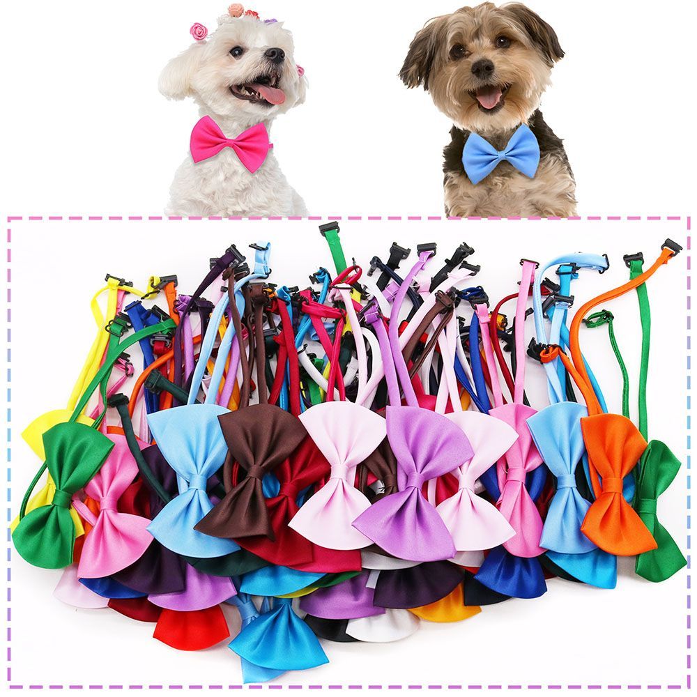 Regulowane modne krawaty dla p – Pet Supplies In Bulk recenzja i cena