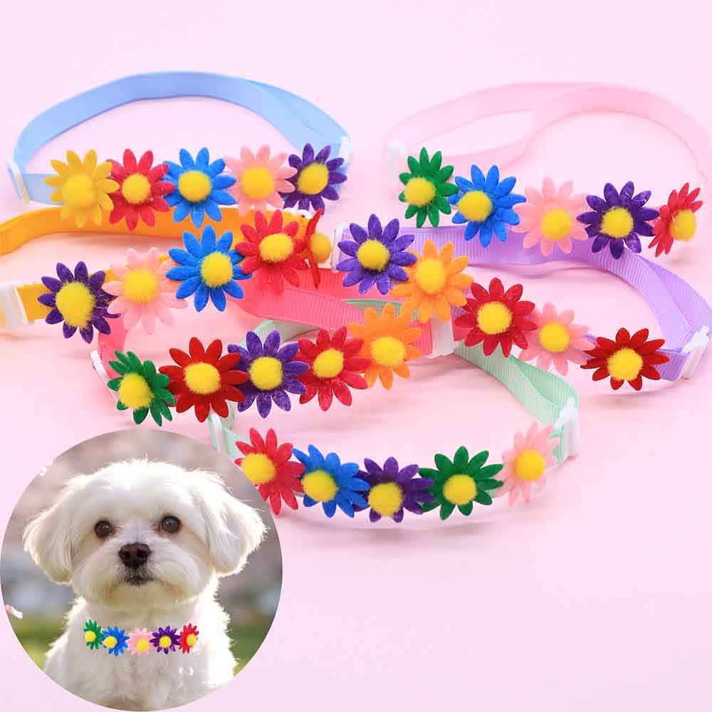 50 SZTUK Kolorowych Muszek dla – Pet Supplies In Bulk recenzja i cena