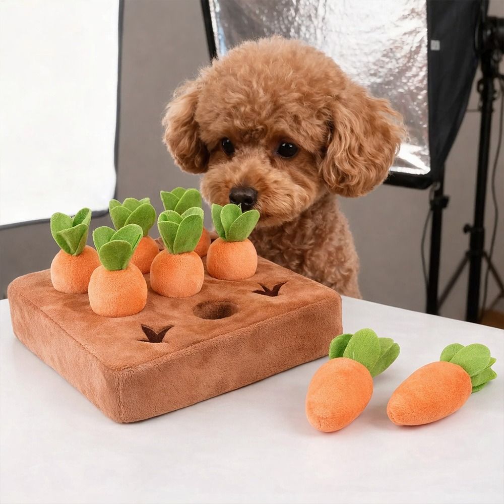 Mata węchowa do zabawy dla psó – Dog Treat Puzzle Toy recenzja i cena