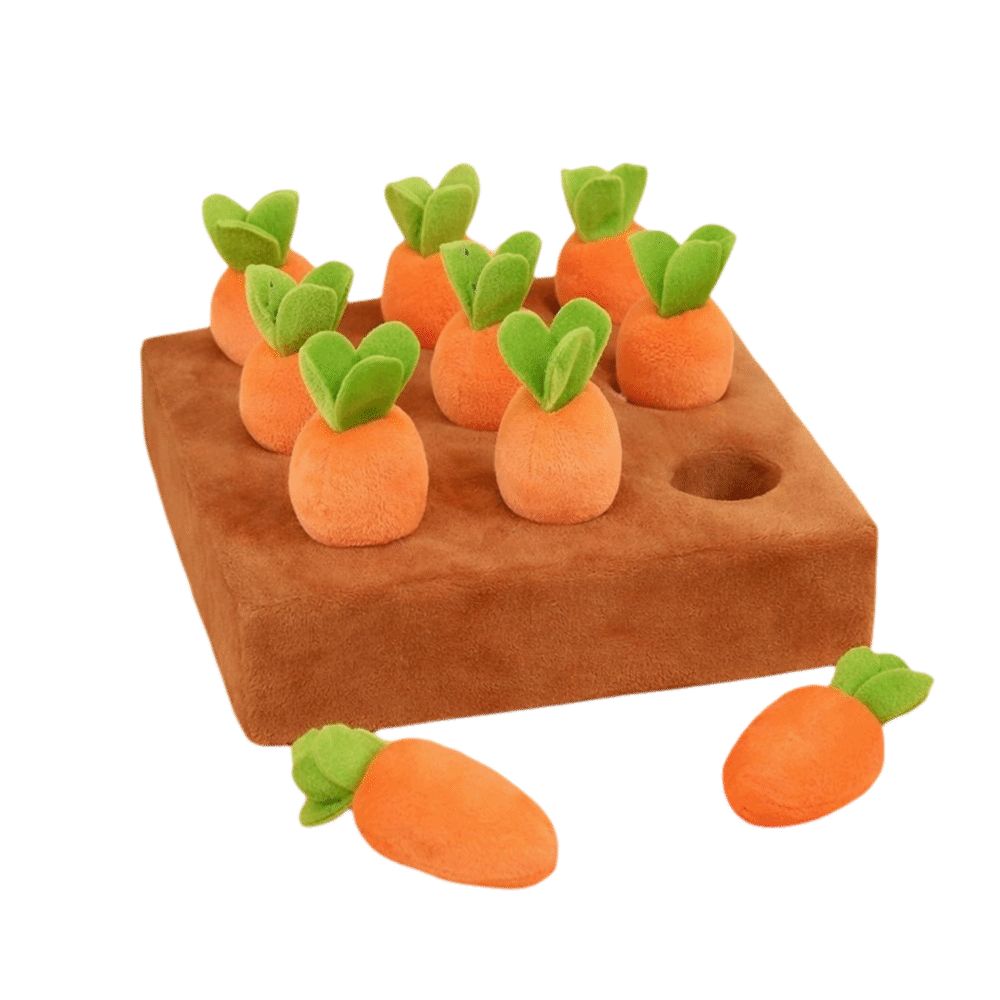 Mata węchowa do zabawy dla psó – Dog Treat Puzzle Toy recenzja i cena