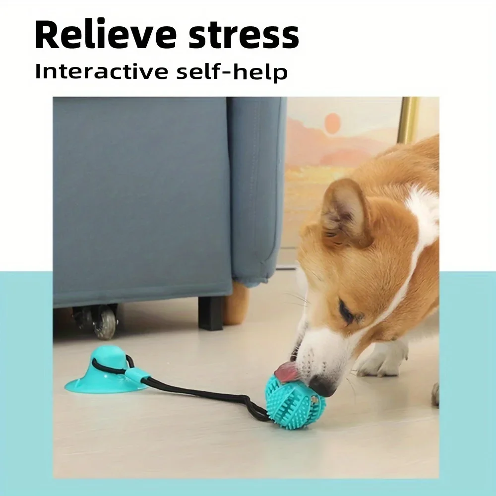 Interaktywna zabawka z przyssa – Dog Treat Puzzle Toy recenzja i cena