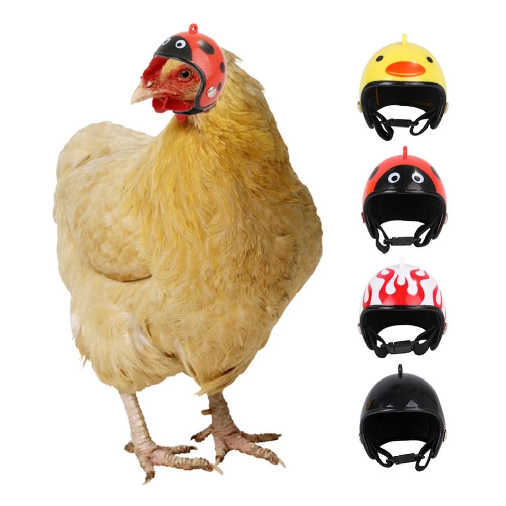 ABS Pet Supplies Zabawne Ochra – Pet X Supplies & Tack recenzja i cena