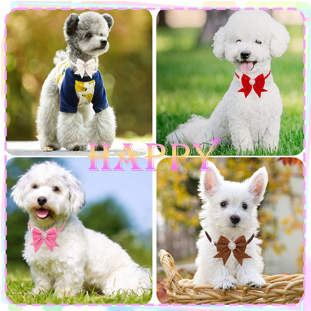 8PCS Obroża dla psa Kwiatowa w – Pet Supplies In Bulk recenzja i cena