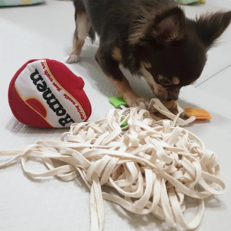 Zabawki dla psów Snuffle Puppy – Dog Treat Puzzle Toy recenzja i cena