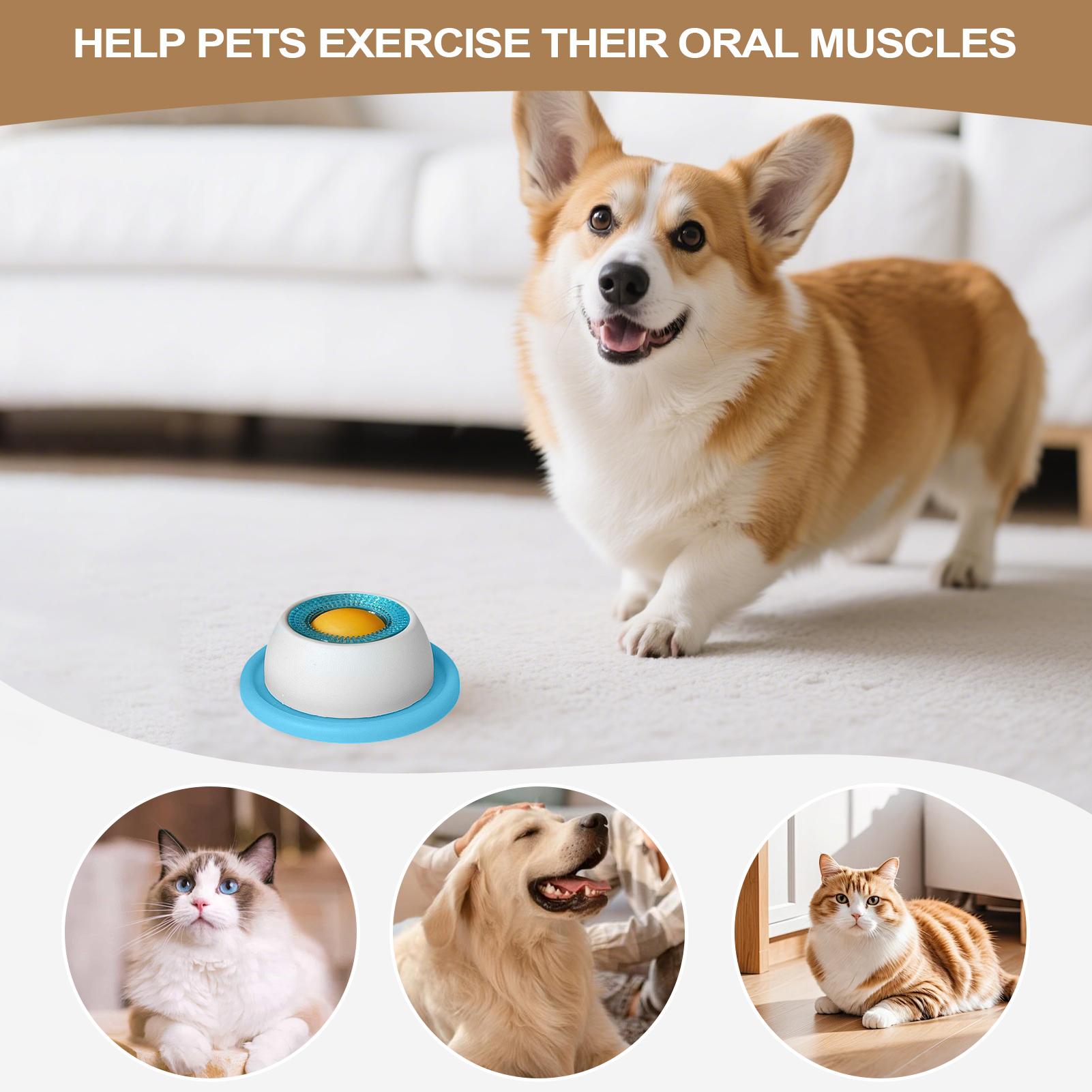 Akcesoria do karmienia zwierzą – Dog Treat Puzzle Toy recenzja i cena
